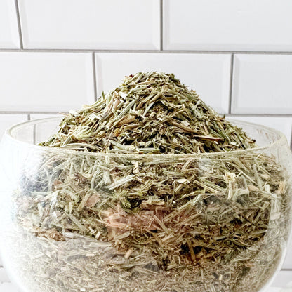 Shavegrass Herb