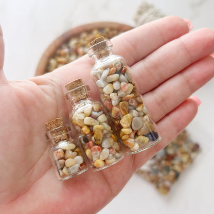 Crazy Lace Agate Crystal Chips